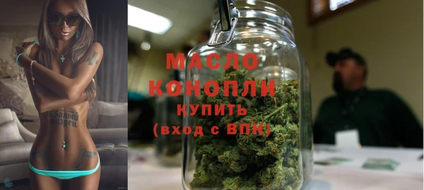 гидра Елабуга
