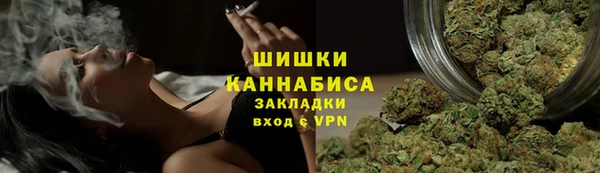 дживик Ельня