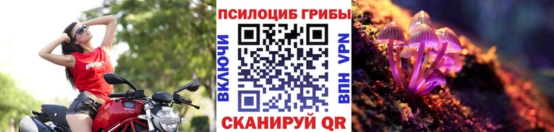 Галлюциногенные грибы Magic Shrooms купить закладку Зеленокумск