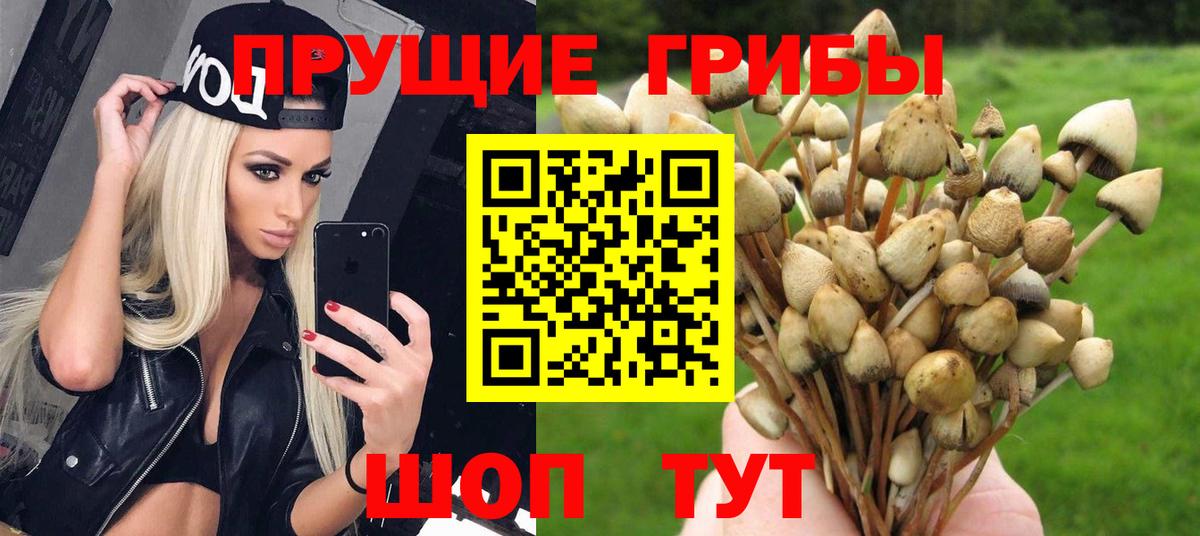 Галлюциногенные грибы MAGIC MUSHROOMS  Псилоцибиновые грибы Psilocybe  Вход с VPN  Зеленокумск 