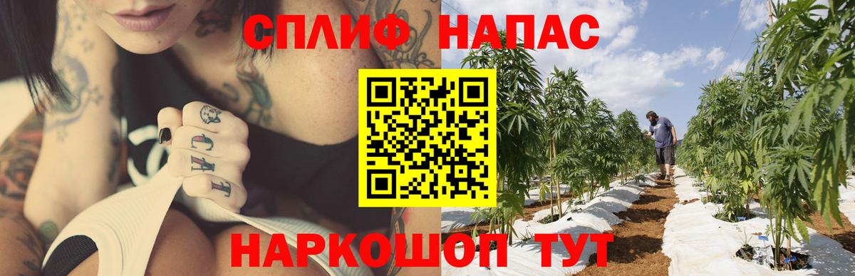МАРИХУАНА семена Зеленокумск